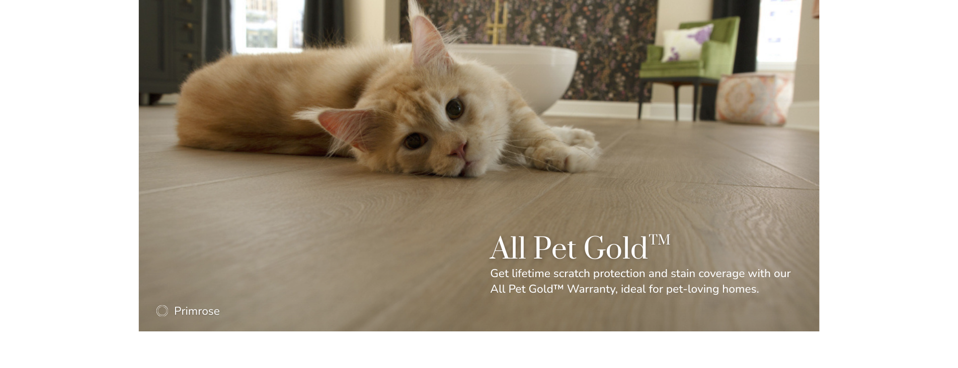Cat relaxing on Pet Friendly LuxeCraft Flooring by Karastan